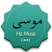 Hz-Musa