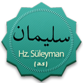 Hz-Suleyman