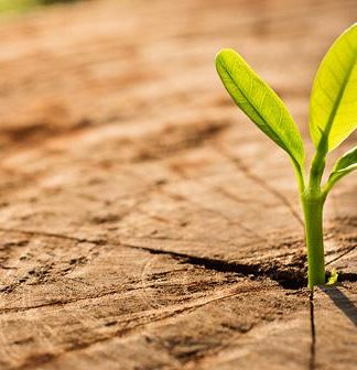 İMANIN GÜÇLENMESİ İÇİN EN ETKİLİ DAVRANIŞ